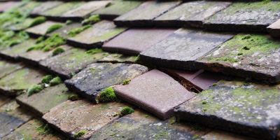 Rhostrehwfa roof repair costs